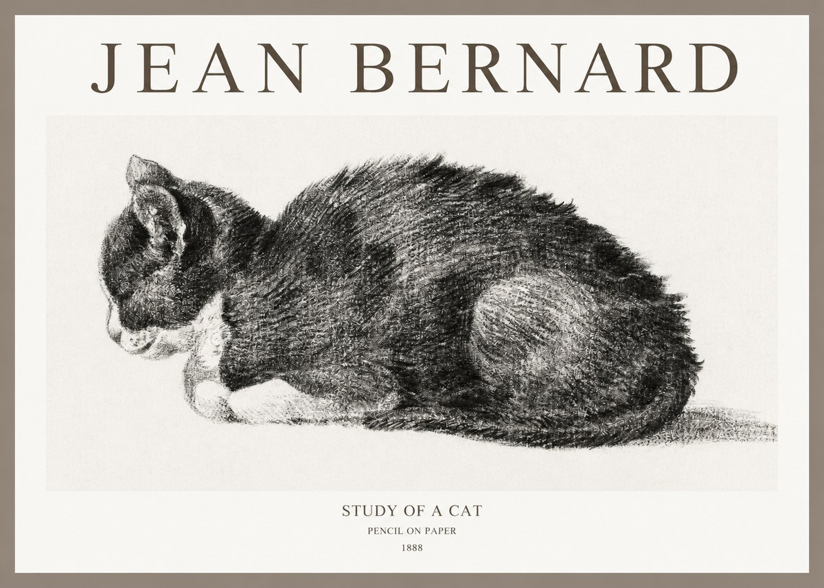 Jean Bernard Sleeping Cat VII No6 - Póster