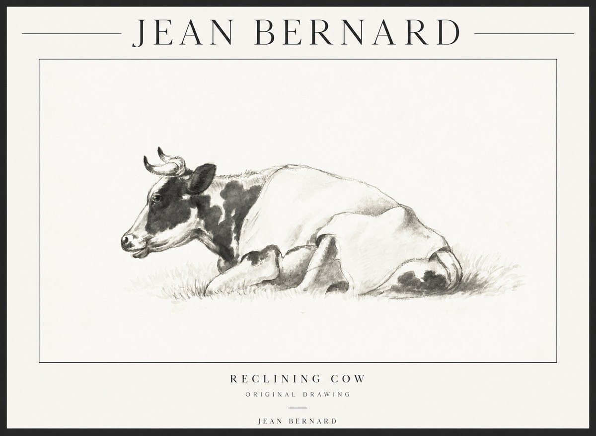 Jean Bernard Reclining Cow II No1 - Póster