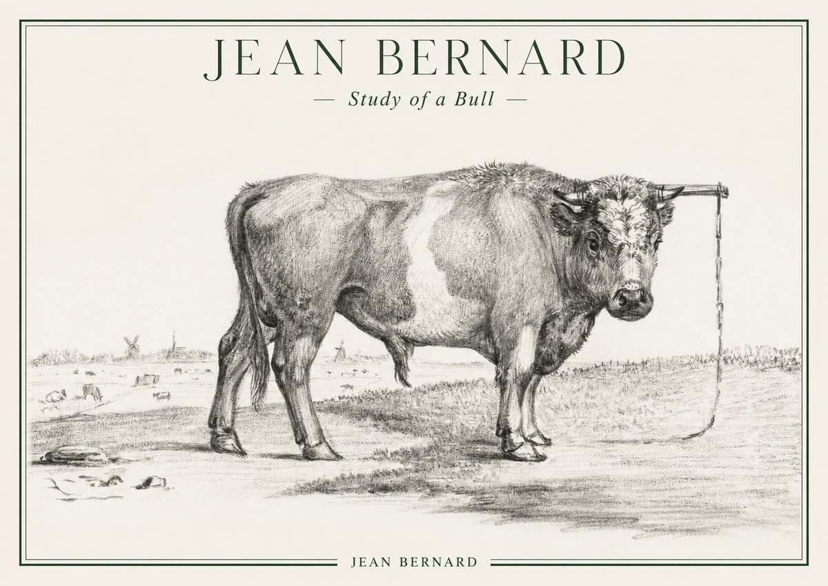 Jean Bernard Study of a Bull III No1 - Póster