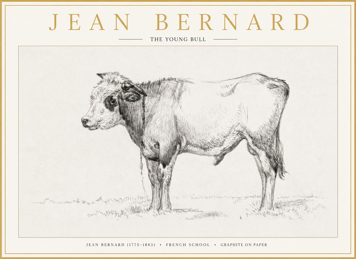 Jean Bernard The Young Bull No1 - Póster