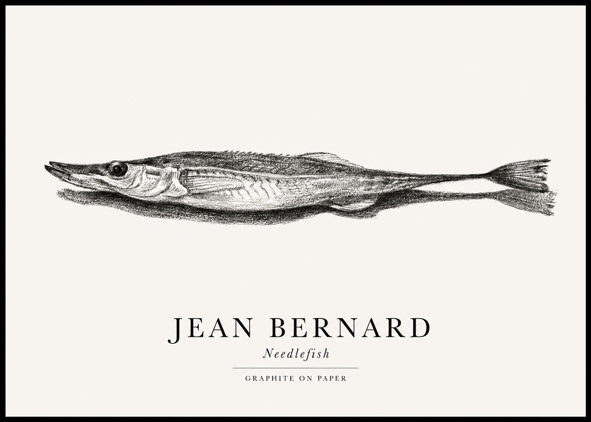 Jean Bernard Needlefish No1 - Póster