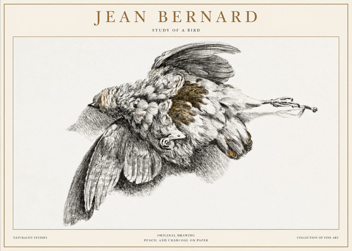 Jean Bernard Study of a Bird III No1 - Póster