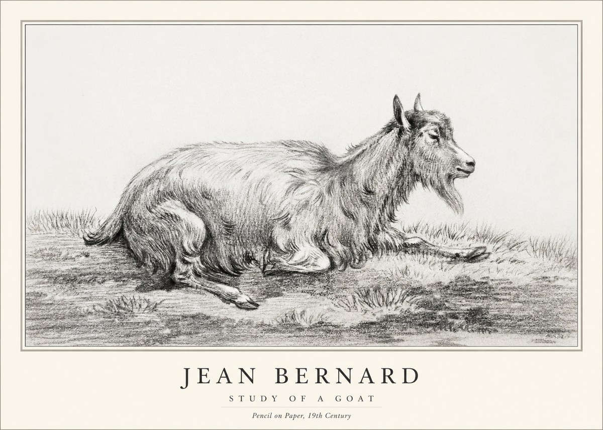 Jean Bernard Study of a Goat V No1 - Póster