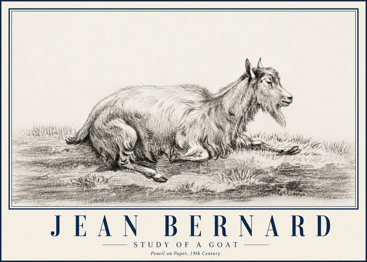 Jean Bernard Study of a Goat V No5 - Póster