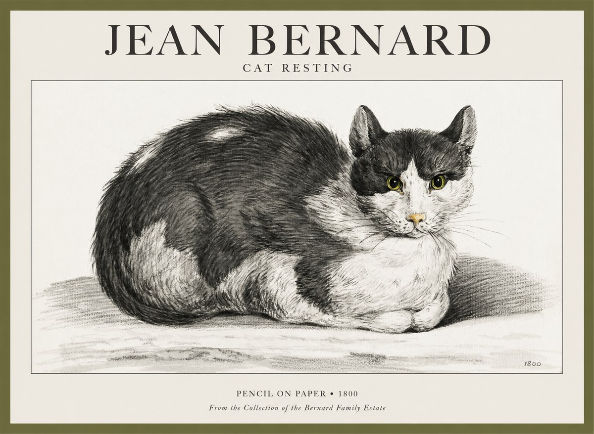 Jean Bernard Cat Resting No1 - Póster