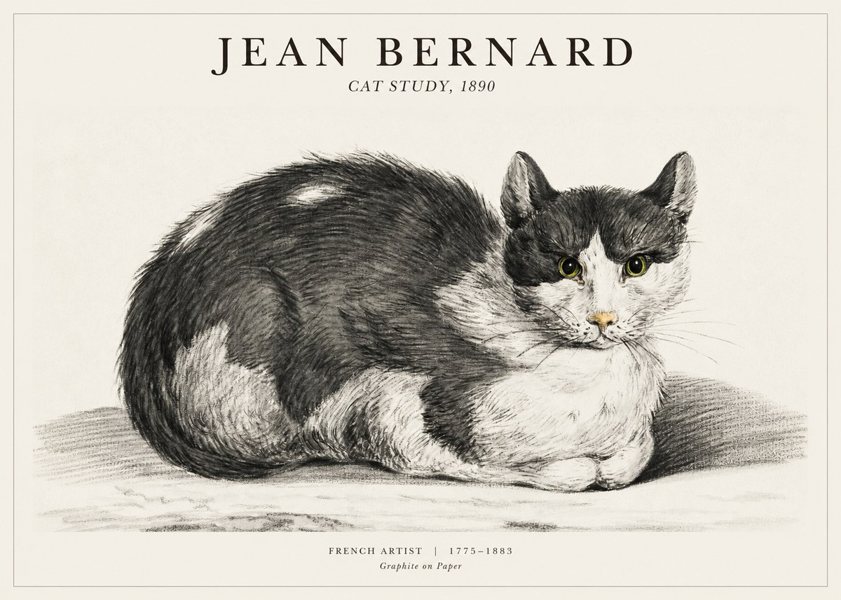 Jean Bernard Cat Resting No3 - Póster