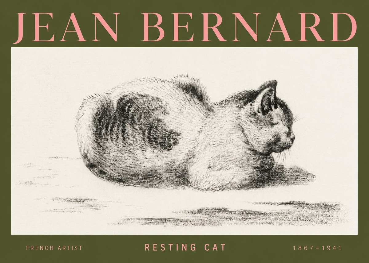 Jean Bernard Resting Cat No3 - Póster