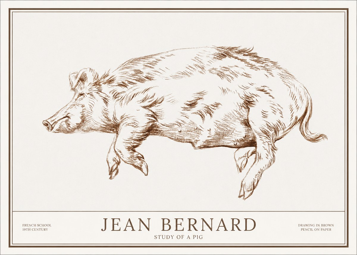 Jean Bernard Study of a Pig II No1 - Póster