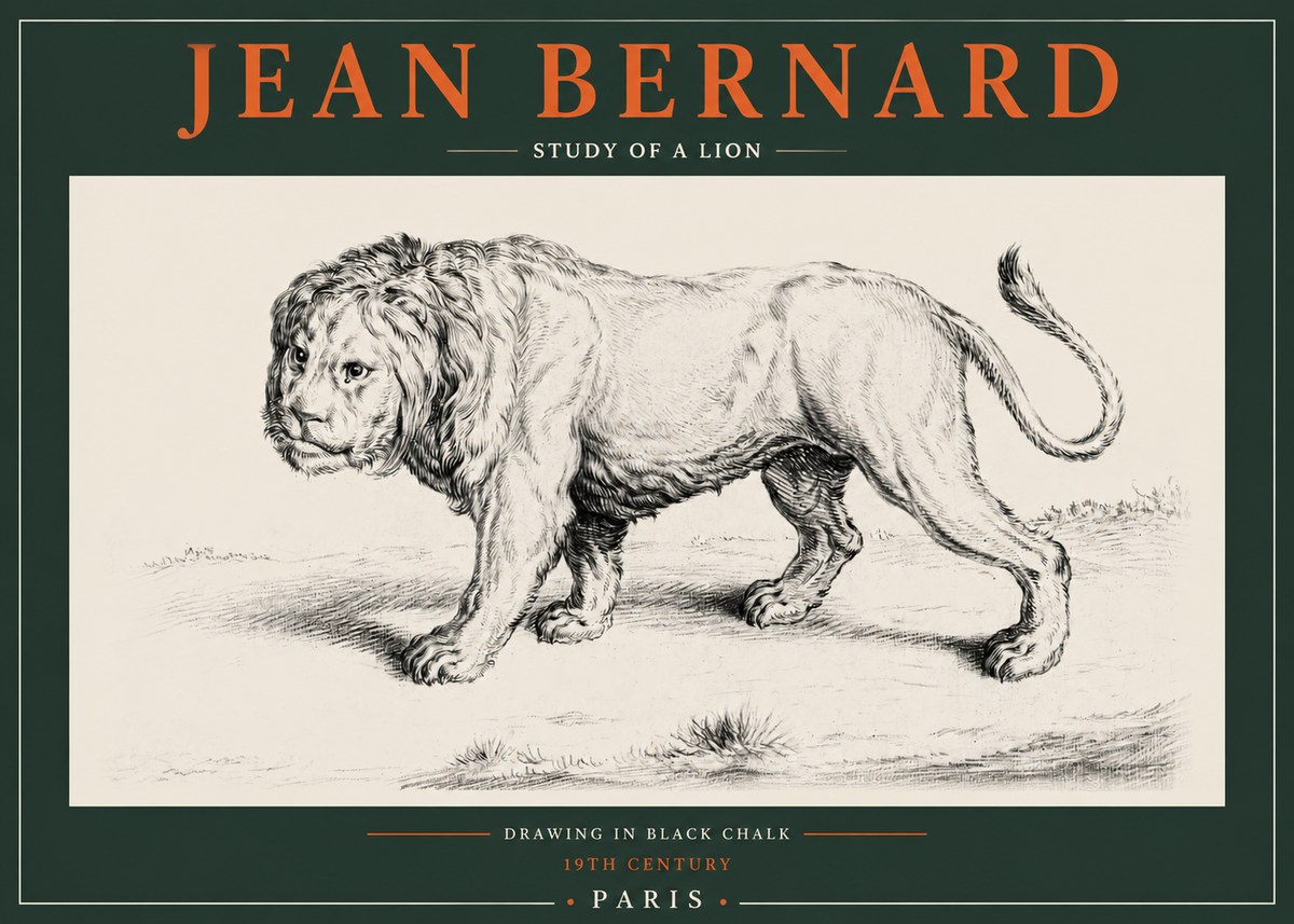 Jean Bernard Study of a Lion II No2 - Póster