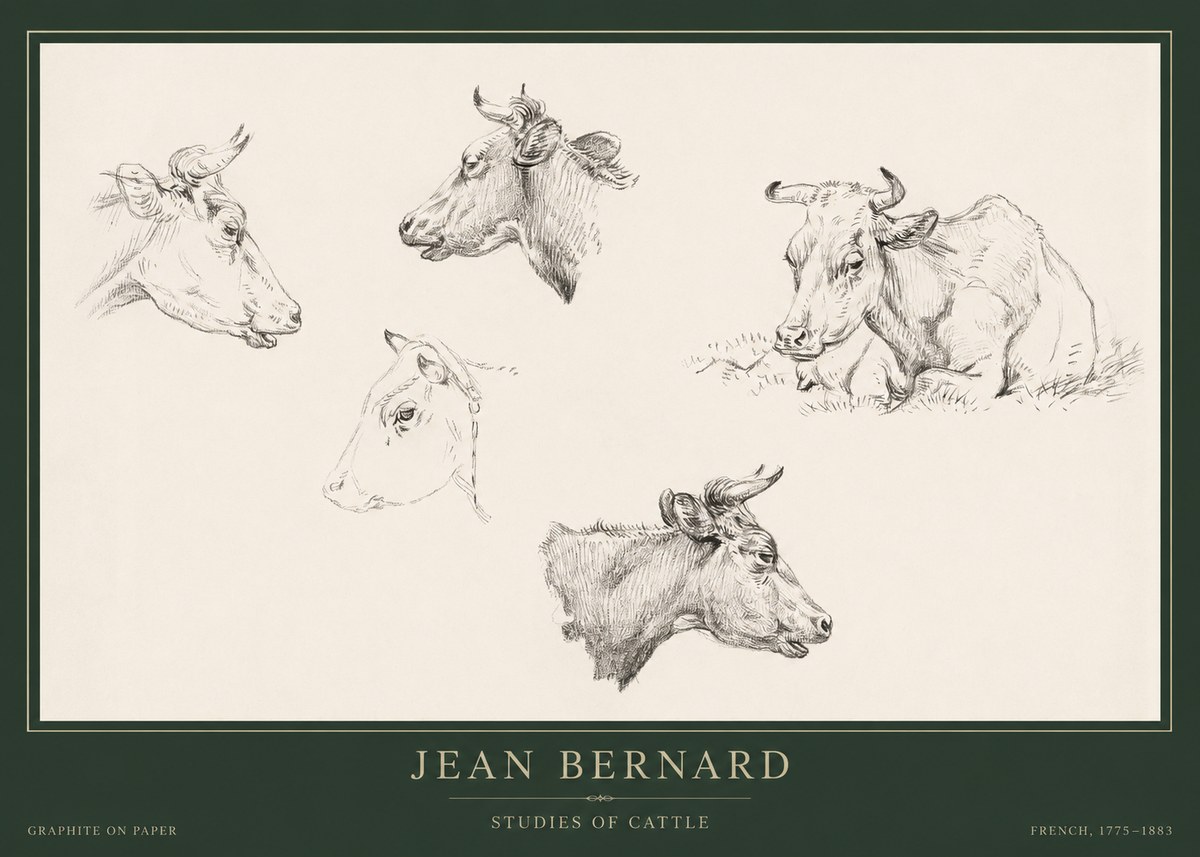 Jean Bernard Studies of Cows I No5 - Póster