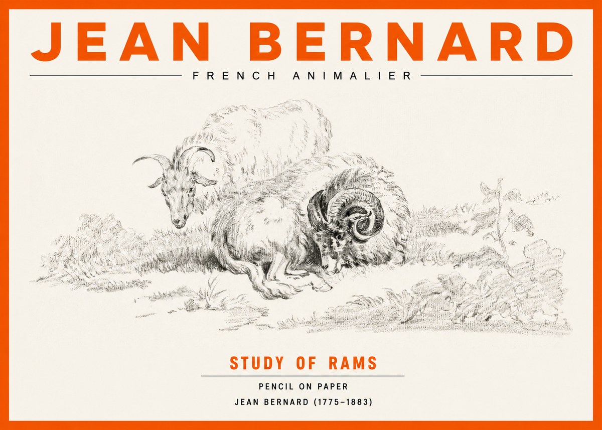 Jean Bernard Study of Sheep No3 - Póster