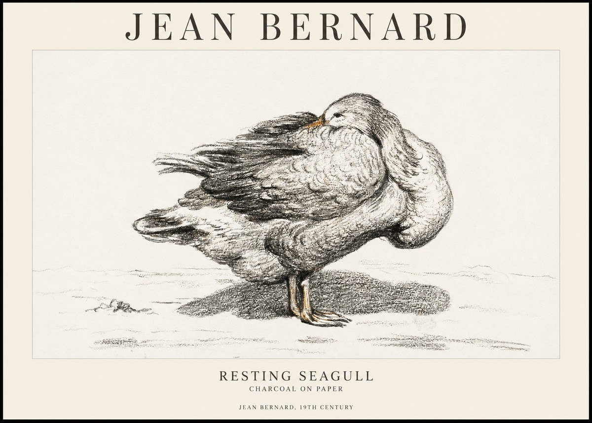 Jean Bernard Resting Seagull No1 - Póster