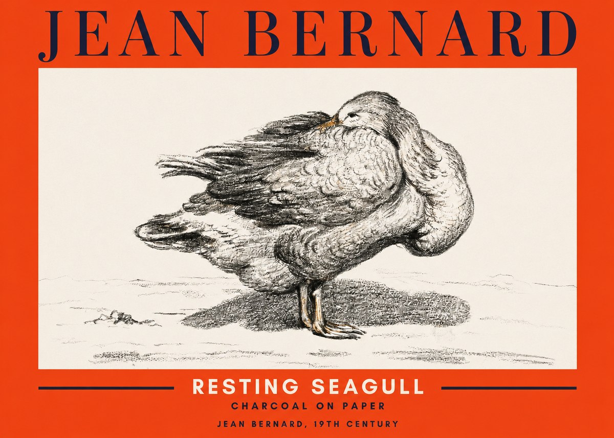 Jean Bernard Resting Seagull No2 - Póster