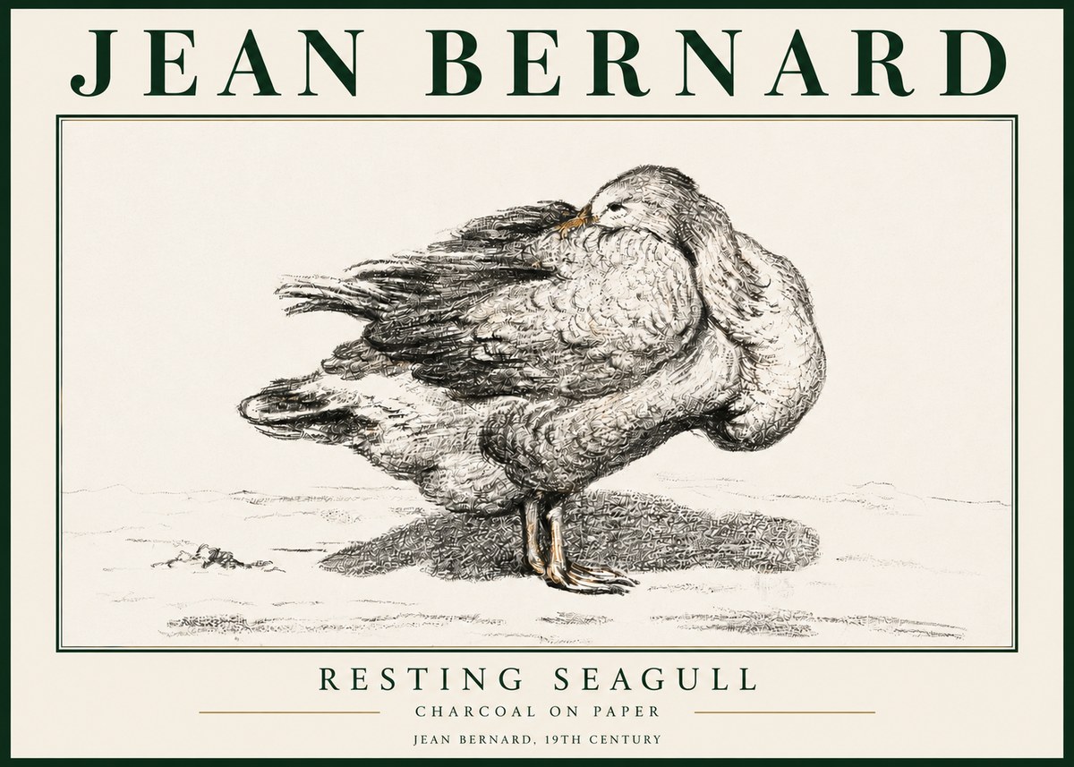 Jean Bernard Resting Seagull No3 - Póster