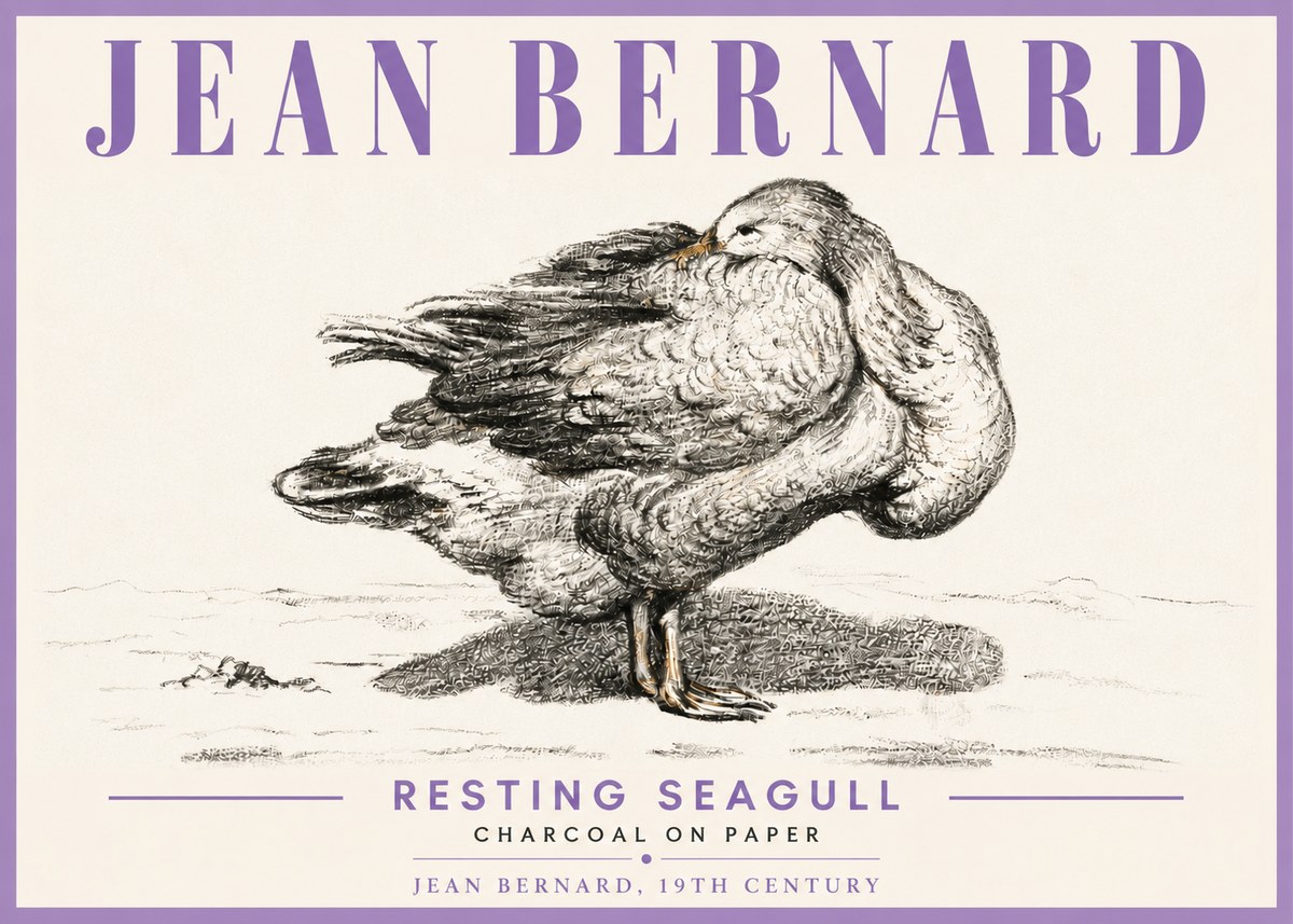 Jean Bernard Resting Seagull No6 - Póster