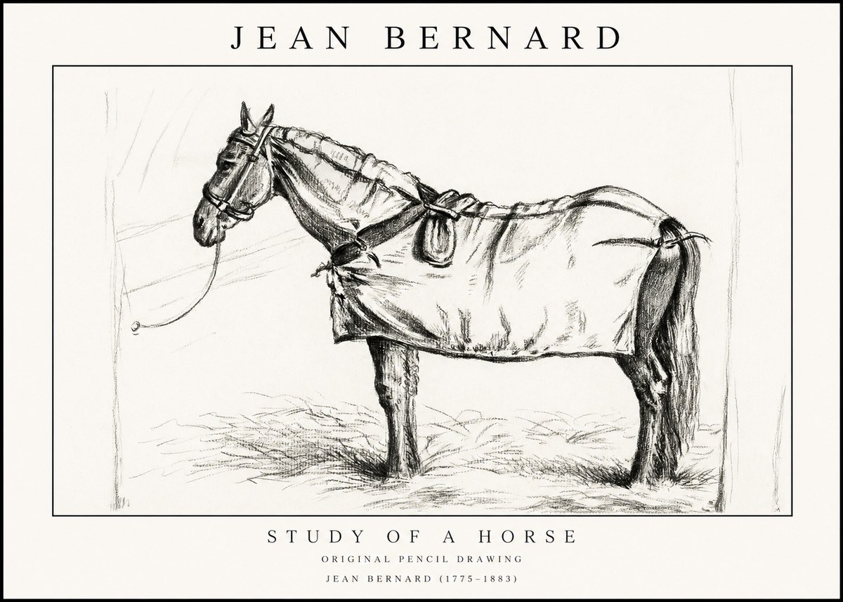 Jean Bernard Study of a Horse XI No1 - Póster