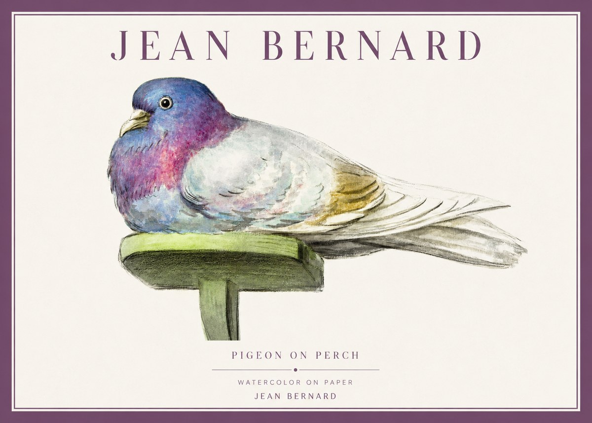 Jean Bernard Pigeon on Perch No1 - Póster