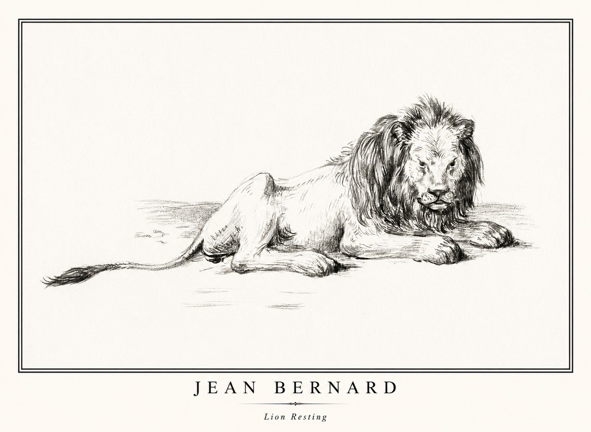 Jean Bernard Lion Resting No1 - Póster