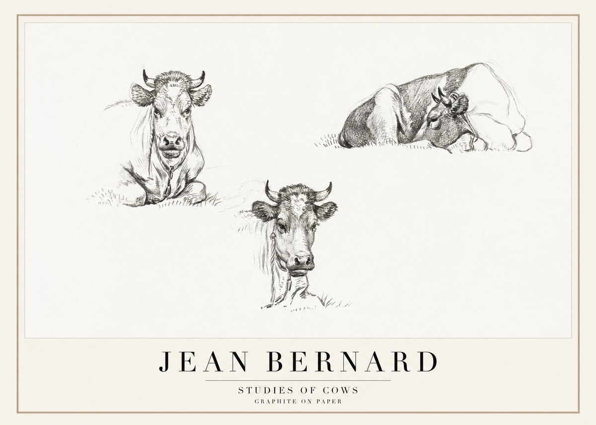 Jean Bernard Studies of Cows II No1 - Póster