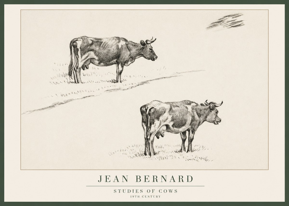 Jean Bernard Studies of Cows III No1 - Póster