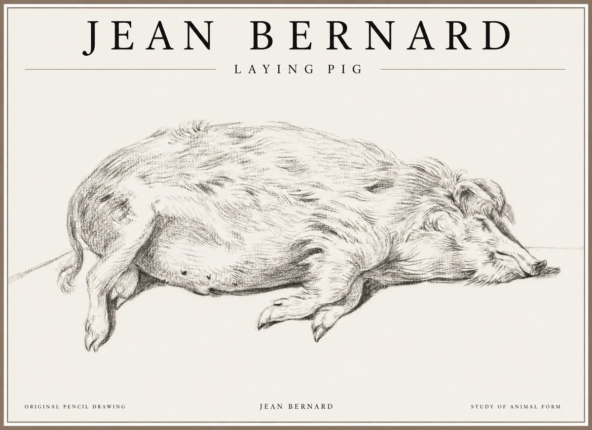 Jean Bernard Laying Pig No1 - Póster