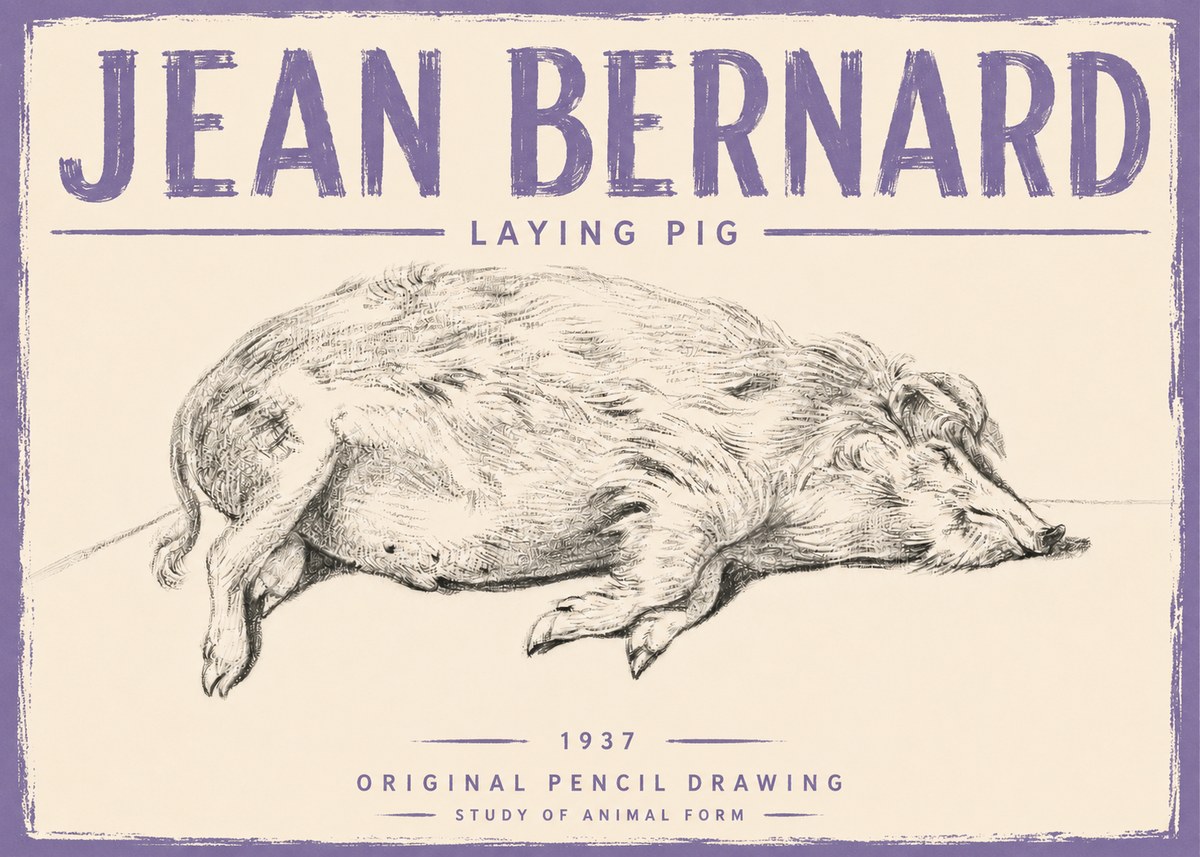 Jean Bernard Laying Pig No5 - Póster
