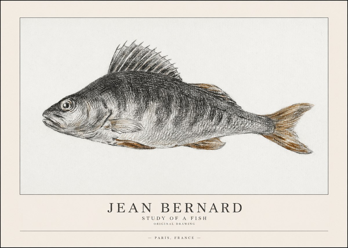 Jean Bernard Study of a Fish IV No1 - Póster