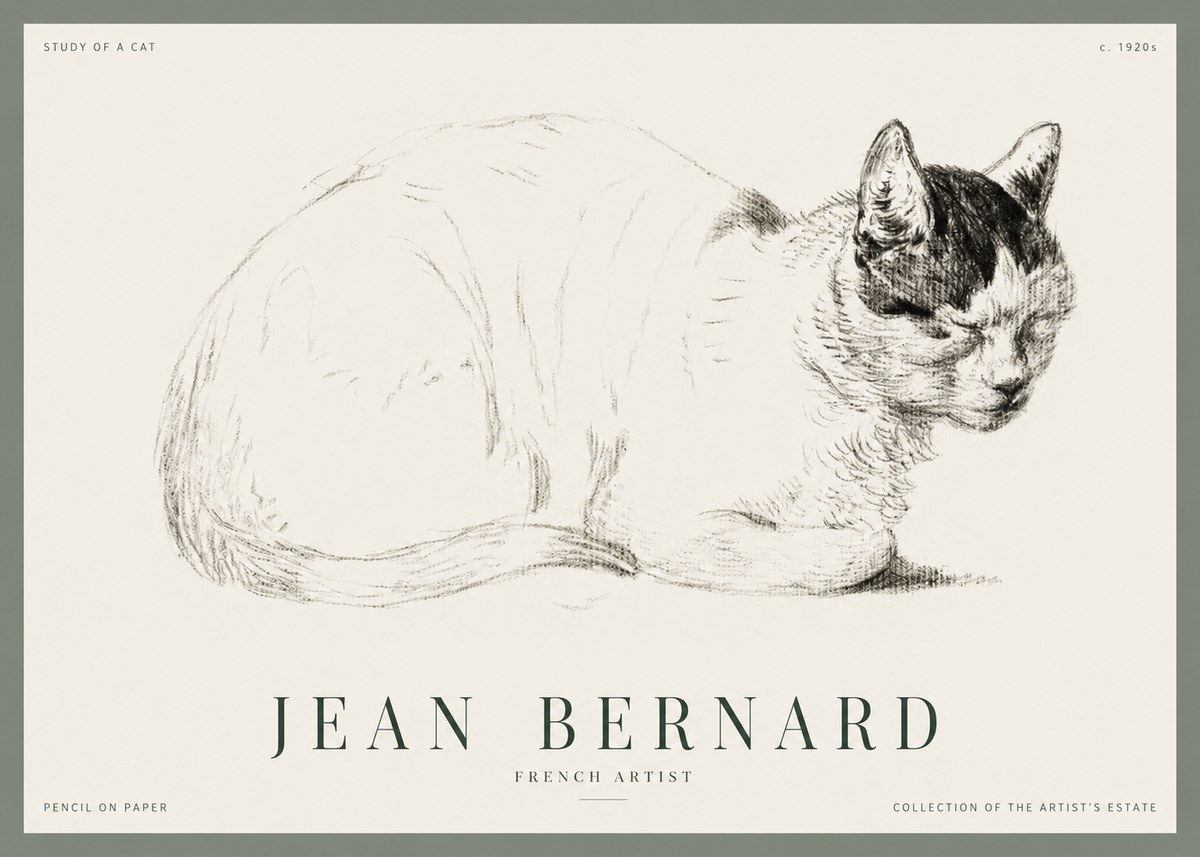 Jean Bernard Study of a Cat III No1 - Póster