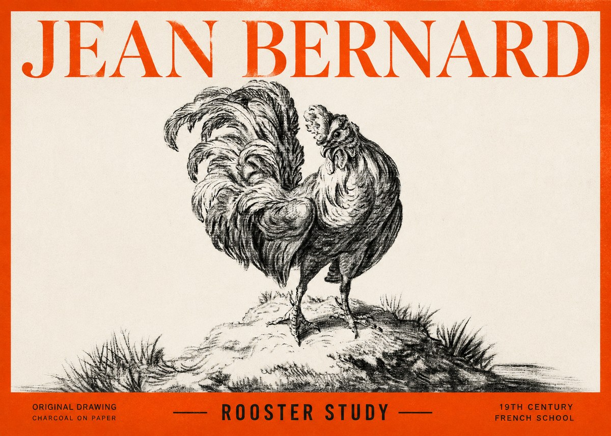 Jean Bernard Study of a Rooster No3 - Póster