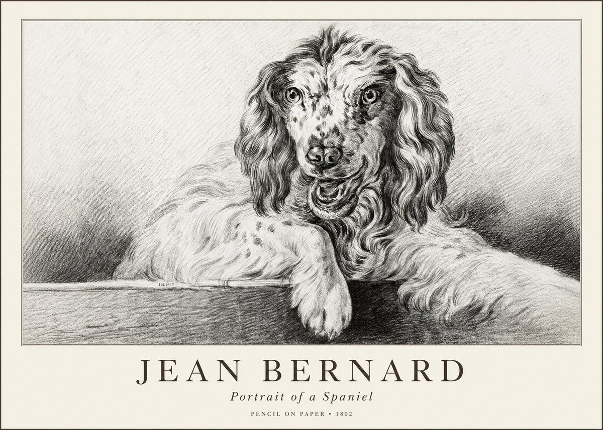 Jean Bernard Portrait of a Spaniel No1 - Póster