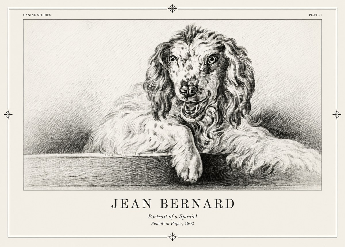 Jean Bernard Portrait of a Spaniel No2 - Póster