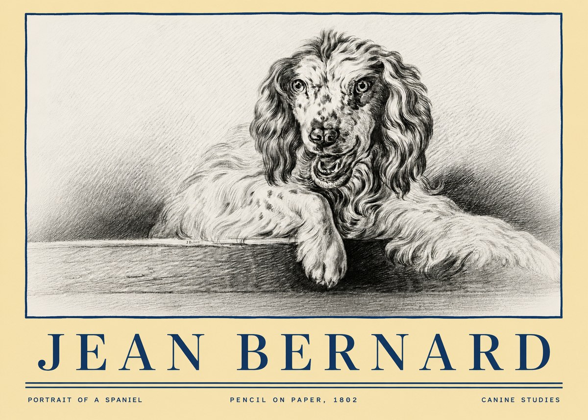 Jean Bernard Portrait of a Spaniel No4 - Póster