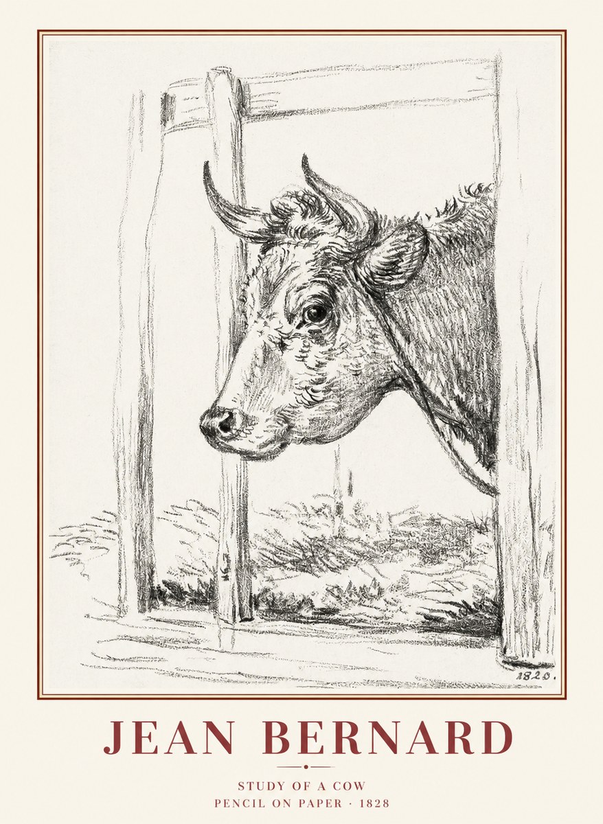 Jean Bernard Study of a Cow XVIII No1 - Póster