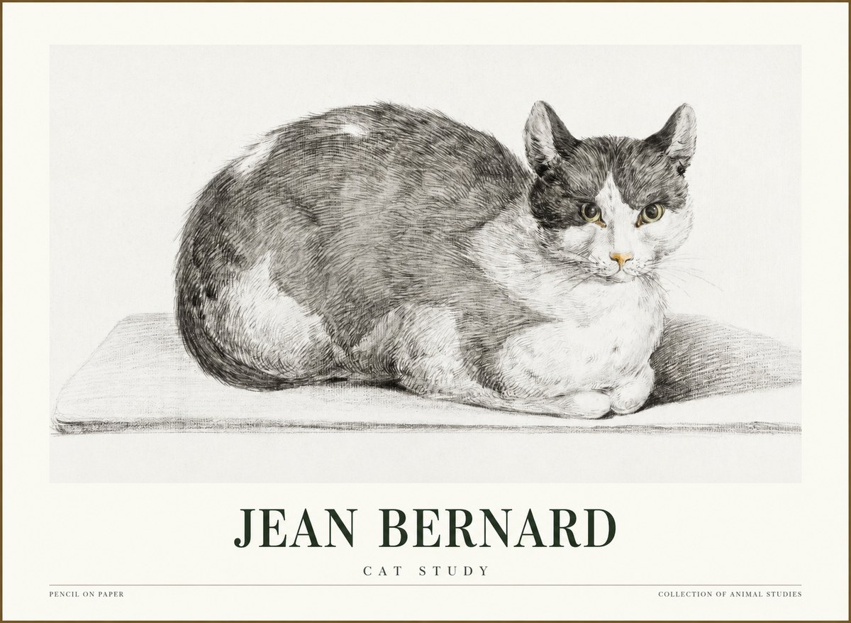 Jean Bernard Cat Study XI No1 - Póster