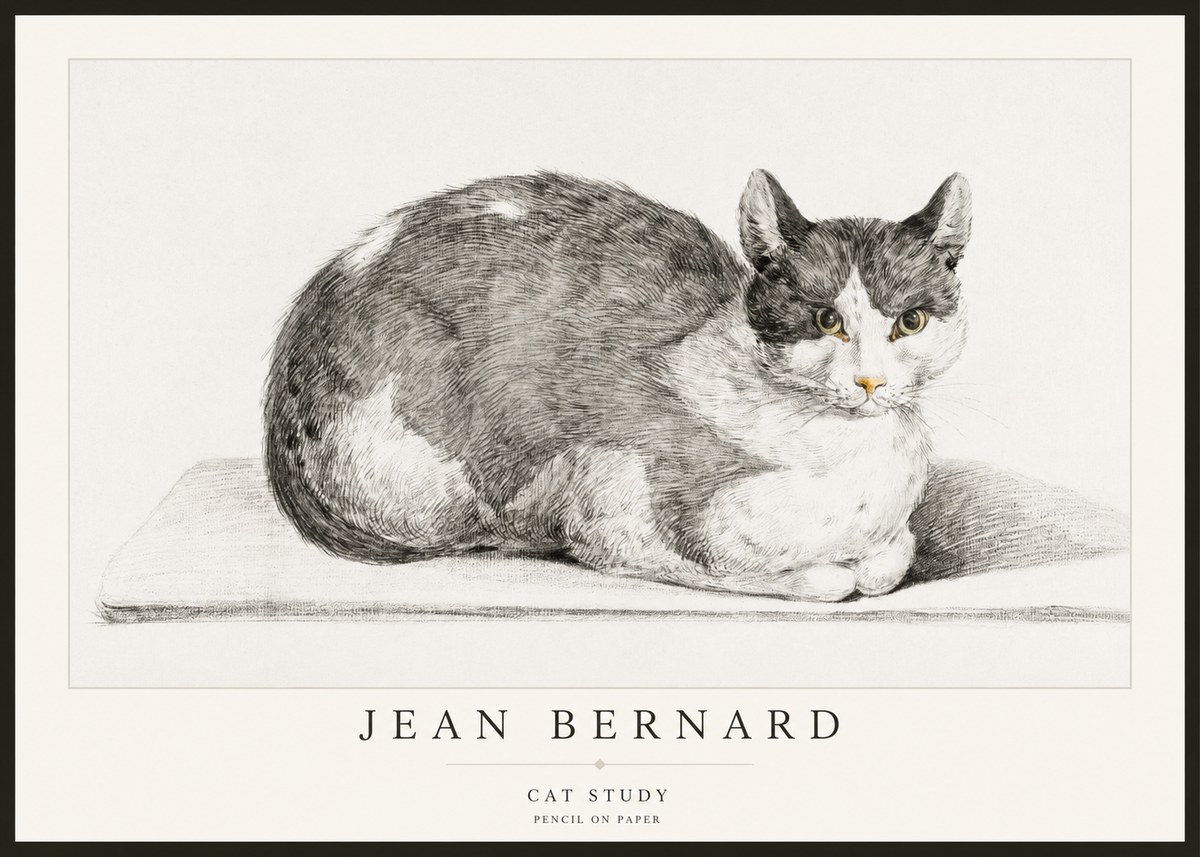 Jean Bernard Cat Study XI No2 - Póster