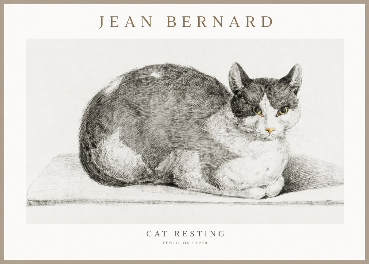Jean Bernard Cat Study XI No3 - Póster