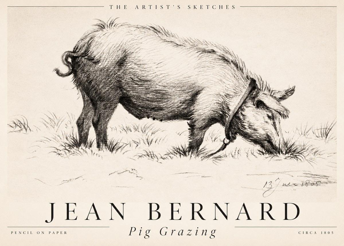 Jean Bernard Pig Grazing No2 - Póster