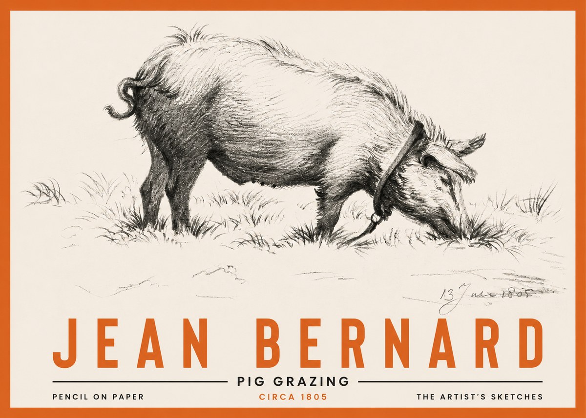 Jean Bernard Pig Grazing No4 - Póster