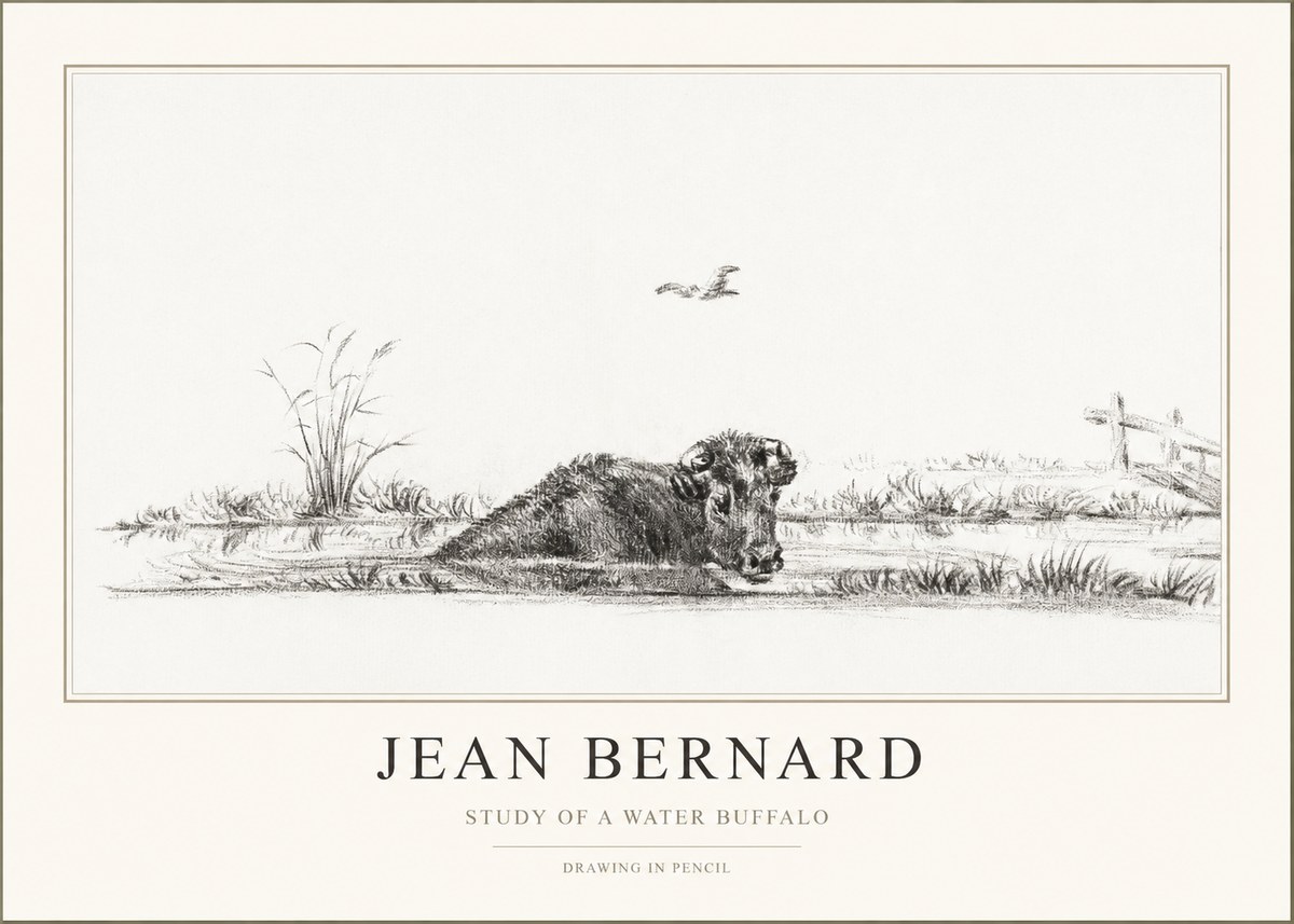 Jean Bernard Study of a Water Buffalo No1 - Póster