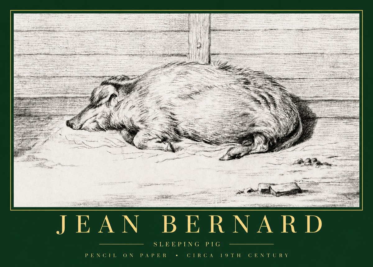 Jean Bernard Sleeping Pig I No3 - Póster
