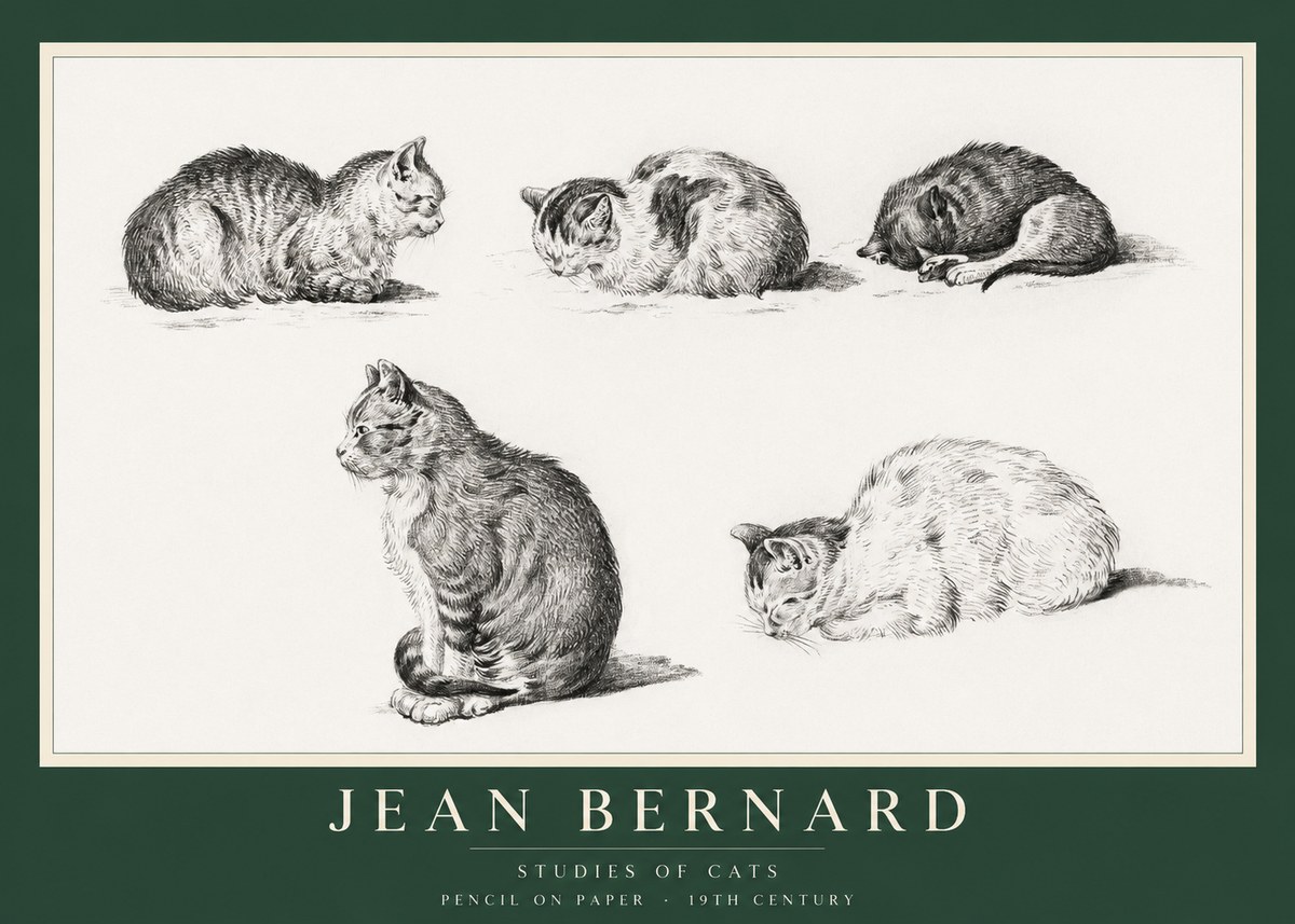 Jean Bernard Studies of Cats No1 - Póster