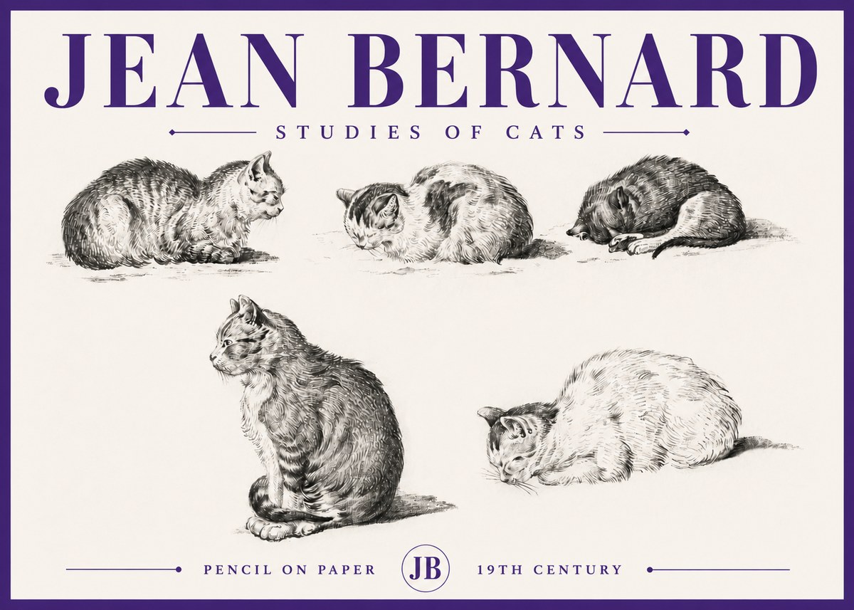 Jean Bernard Studies of Cats No5 - Póster