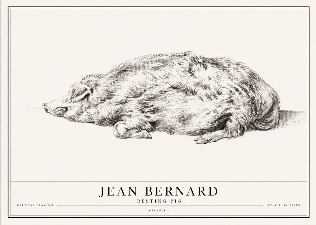 Jean Bernard Resting Pig II No1 - Póster