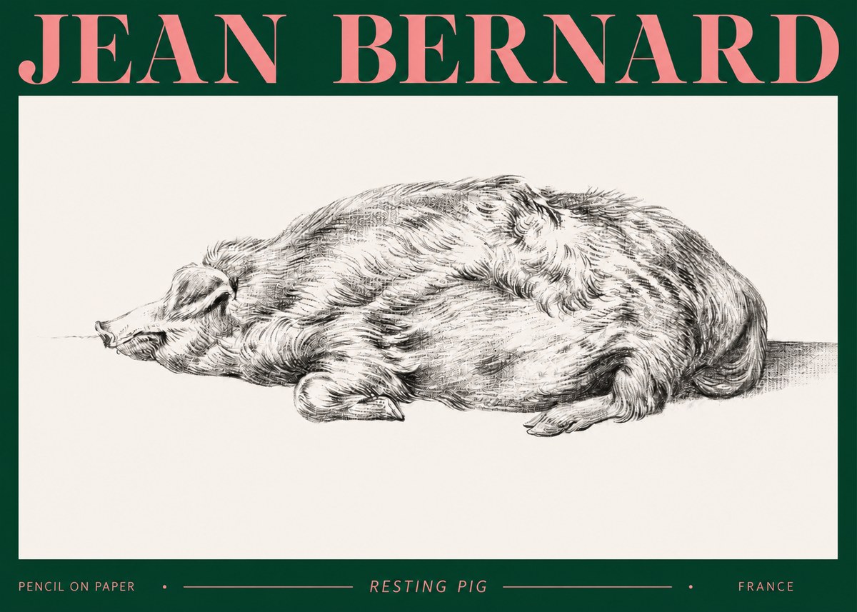 Jean Bernard Resting Pig II No2 - Póster