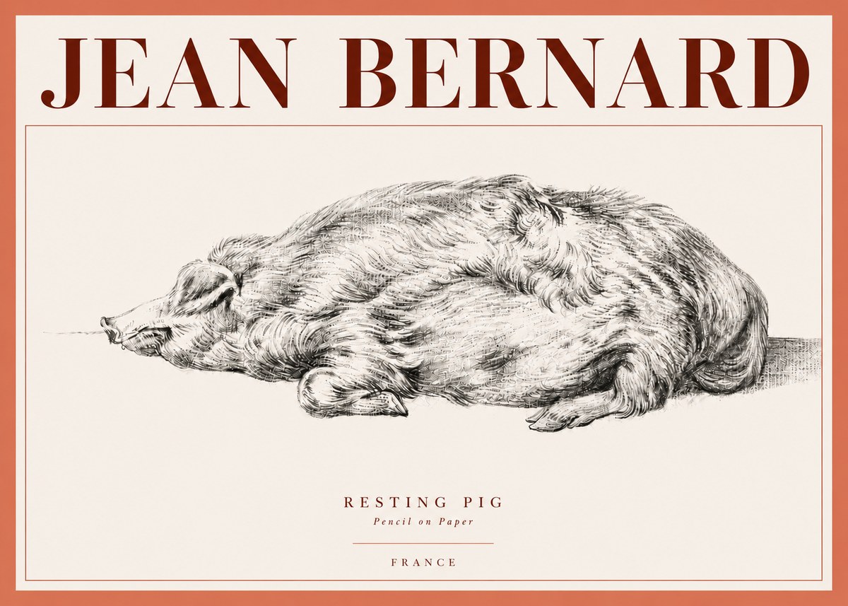 Jean Bernard Resting Pig II No4 - Póster