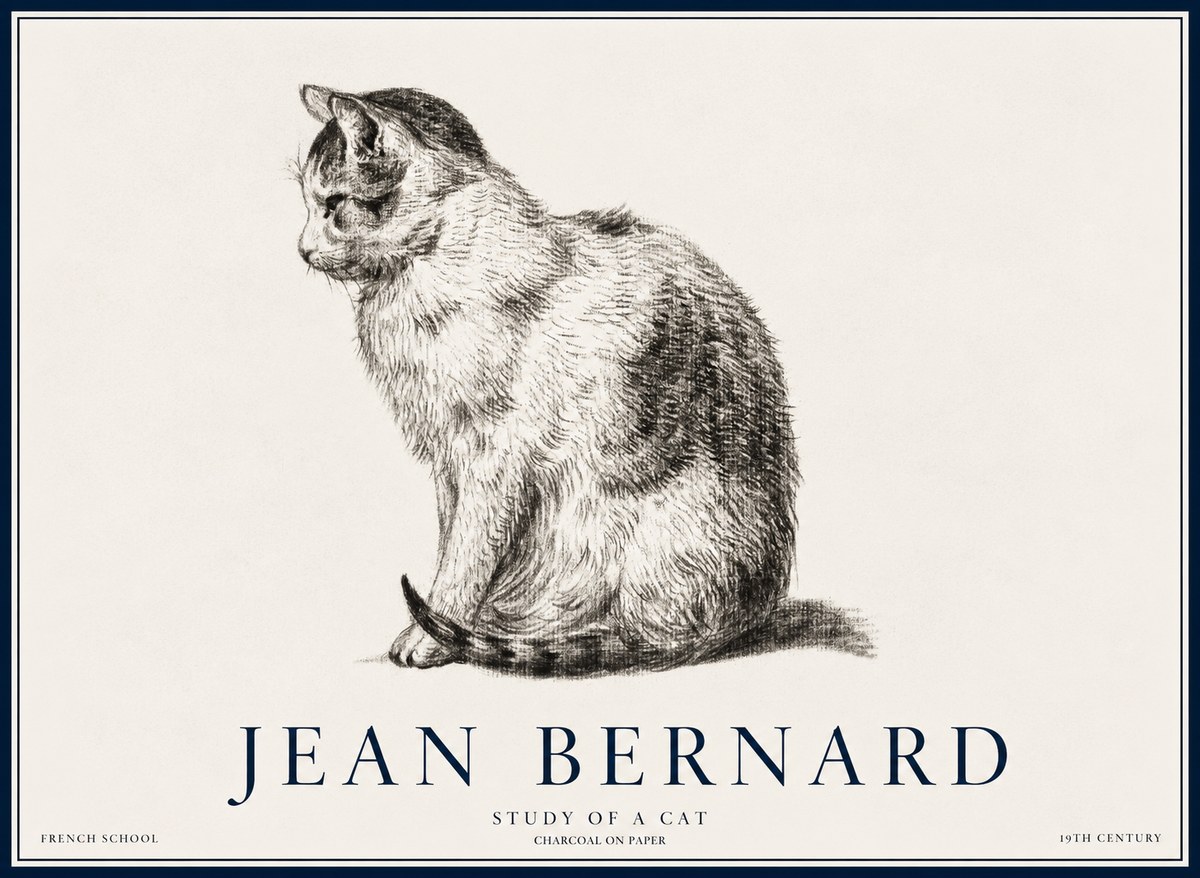 Jean Bernard Study of a Cat IV No5 - Póster