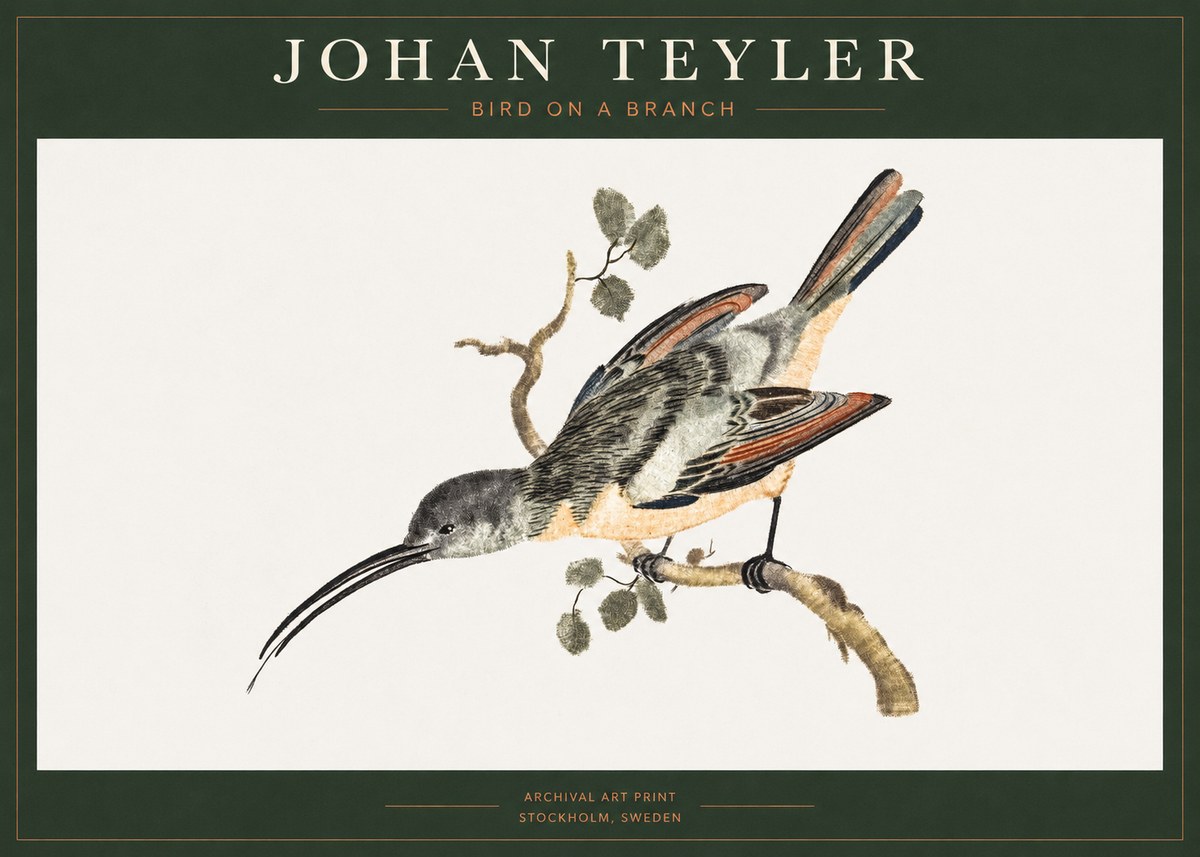 Johan Teyler Bird on a Branch No1 - Póster