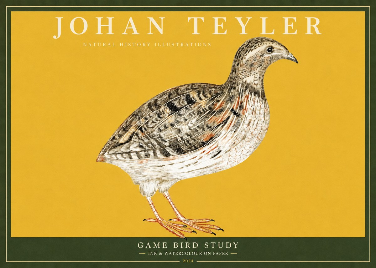 Johan Teyler Game Bird Study No2 - Póster