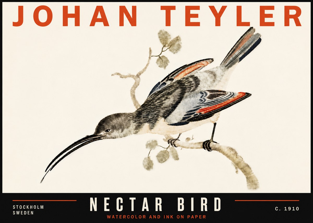 Johan Teyler Nectar Bird No6 - Póster