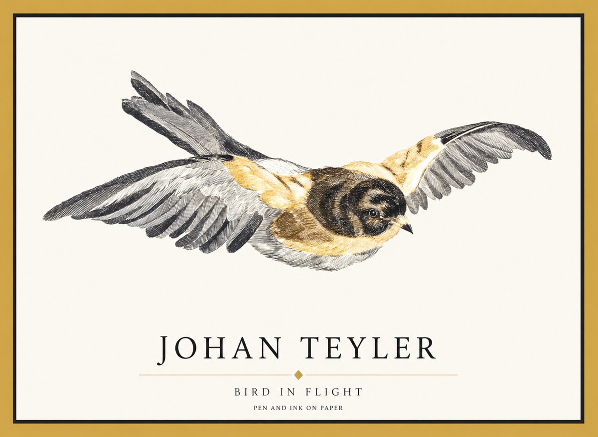 Johan Teyler Bird in Flight I No1 - Póster